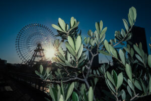 写真作品