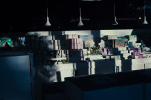 写真作品