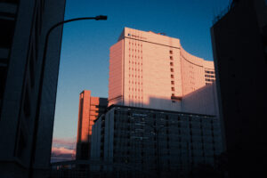 写真作品