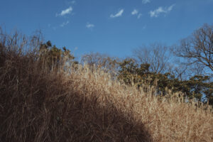 写真作品