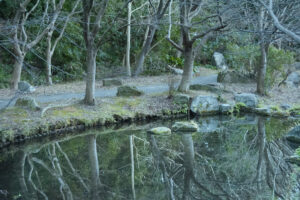 写真作品
