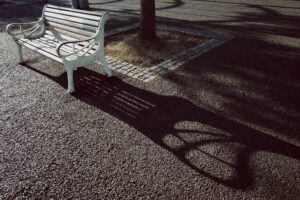 写真作品