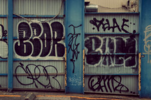 写真作品