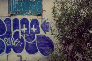 写真作品