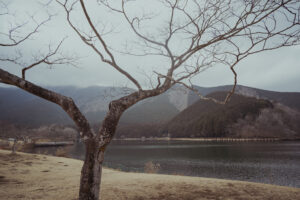 写真作品