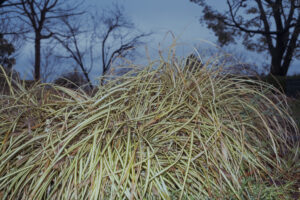 写真作品