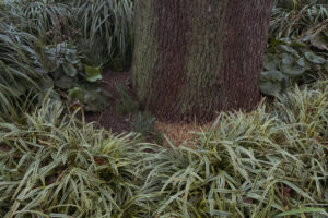 写真作品