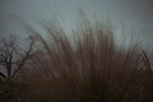 写真作品