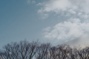 写真作品