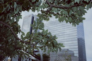 写真作品