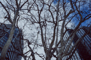 写真作品