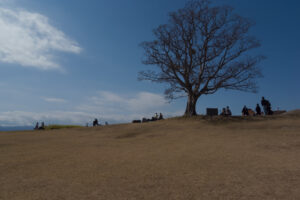 写真作品