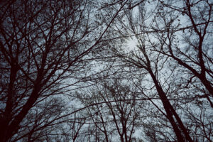 写真作品