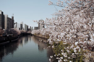 写真作品