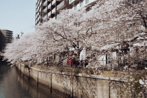 写真作品