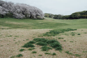 写真作品
