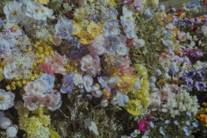 写真作品