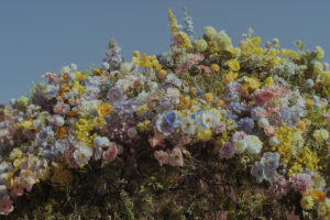 写真作品