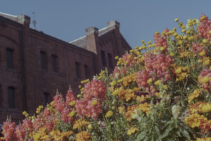 写真作品