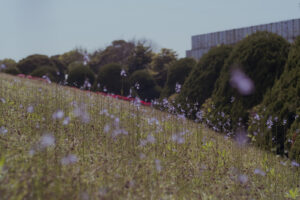 写真作品