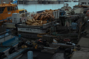 写真作品