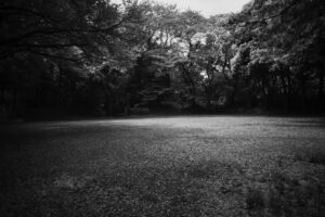 写真作品