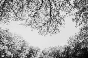 写真作品