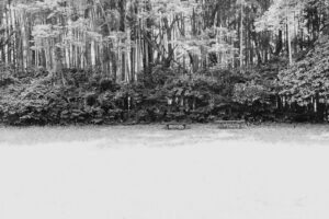写真作品