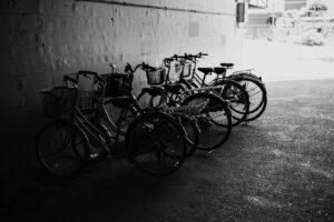 写真作品
