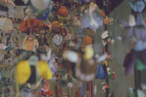 写真作品