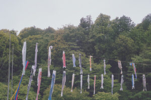 写真作品