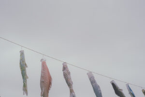 写真作品