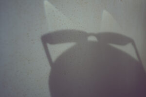 写真作品
