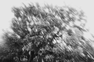 写真作品