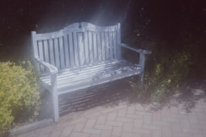 写真作品