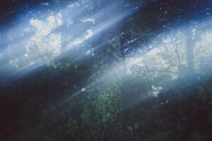 写真作品