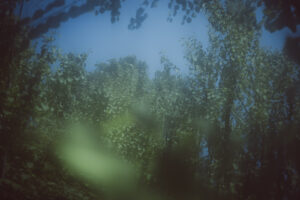 写真作品