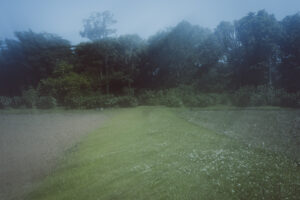 写真作品