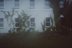 写真作品