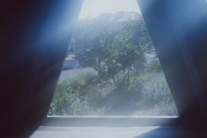 写真作品