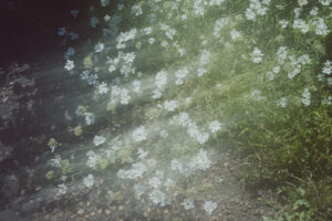写真作品