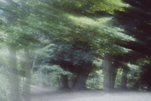 写真作品