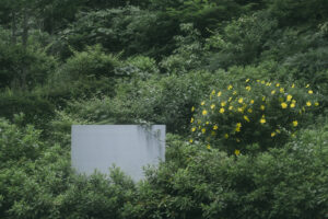 写真作品