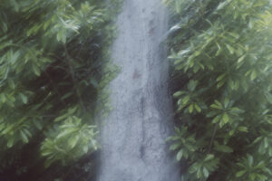 写真作品