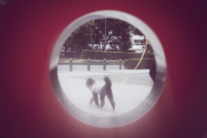写真作品