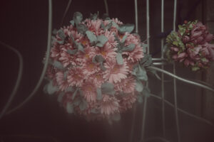 写真作品