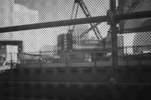 写真作品