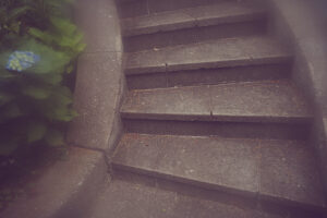 写真作品