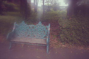 写真作品