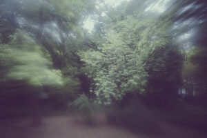 写真作品